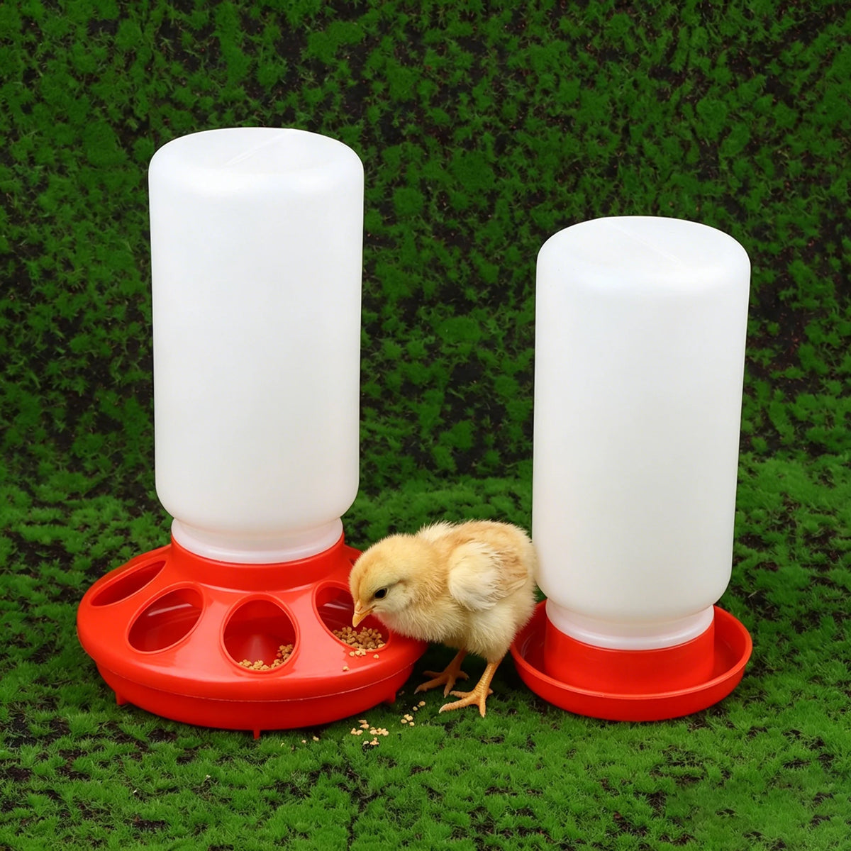 Comedero y Bebedero Automático para Aves de Corral